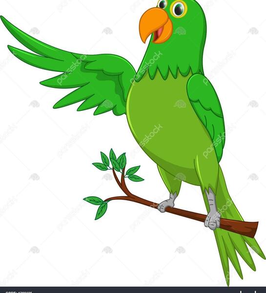 عکس کارتون طوطی