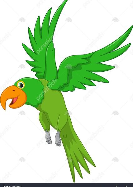 عکس کارتون طوطی