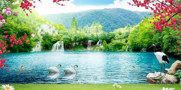 عکس قو در دریاچه
