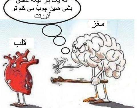 عکس قلب و مغز عاشقانه