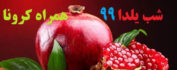 عکس یلدا رئیسی