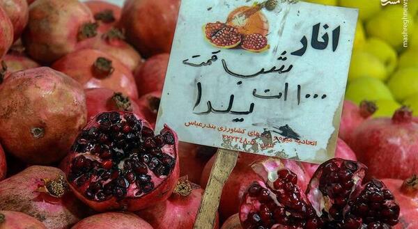 عکس یلدا رئیسی