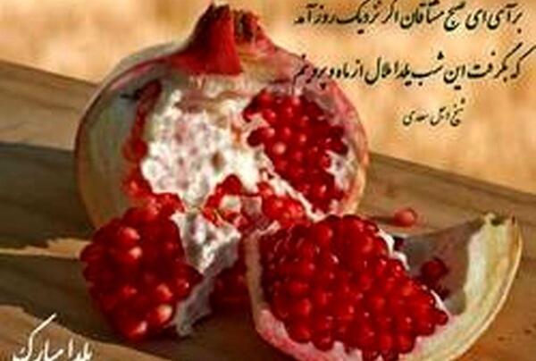 عکس یلدا رئیسی