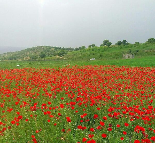 عکس طبیعت زیبای روستای