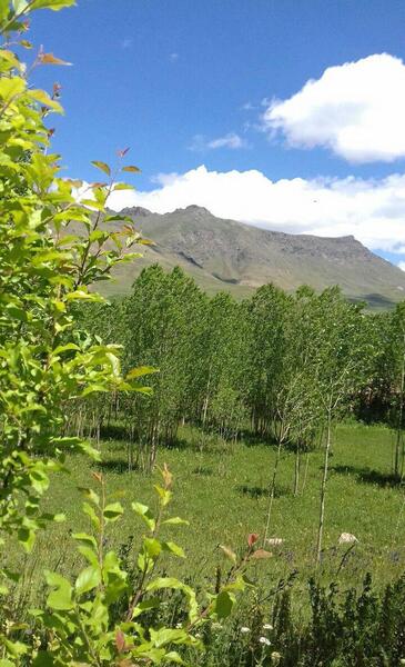 عکس طبیعت زیبای روستای