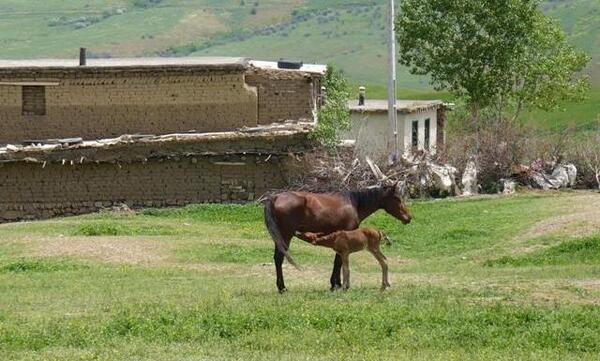 عکس طبیعت زیبای روستای