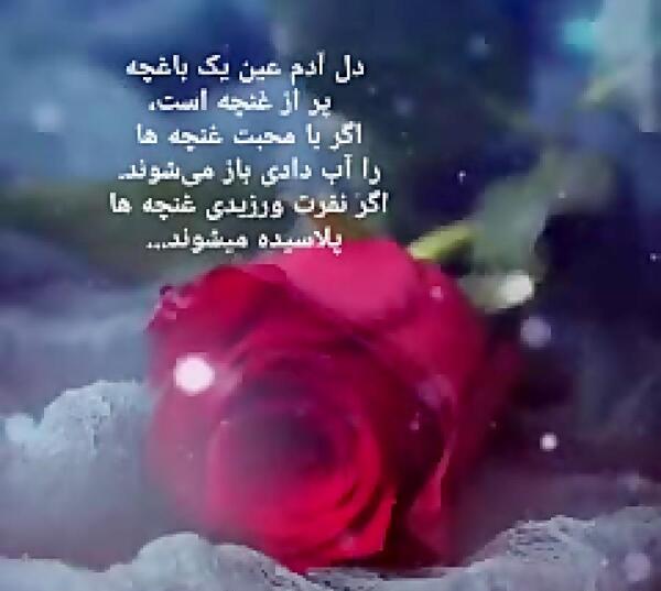 عکس استوری آرامبخش