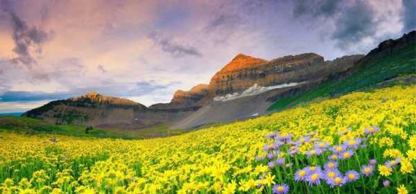 عکس زیبا از طبیعت هند