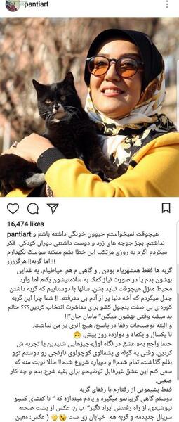 عکس گربه حیوان خانگی