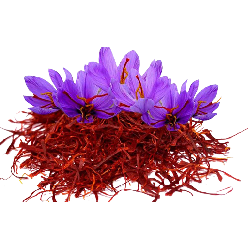 عکس گیاه زعفران