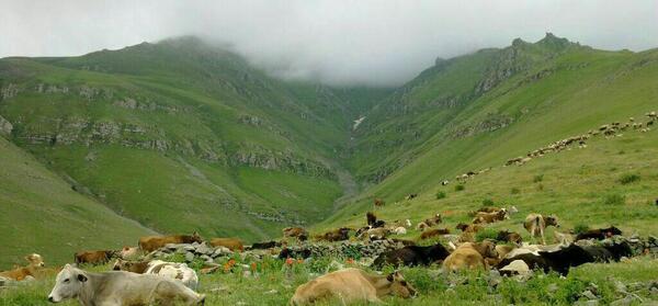 عکس روستای عربشاه خان