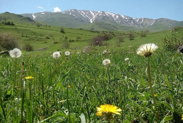 عکس روستای عربشاه خان