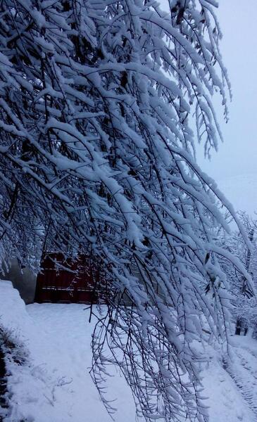 عکسهای روستای ژنین