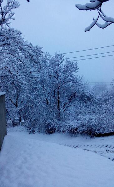 عکسهای روستای ژنین