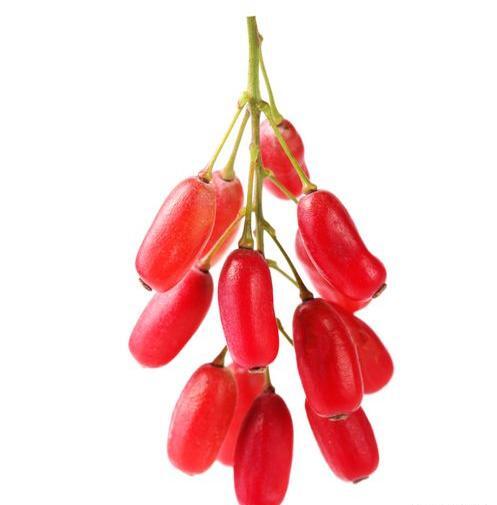 عکس گرافیکی زرشک