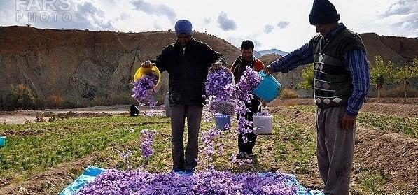 عکس روستای وامنان