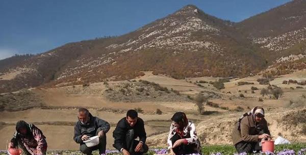 عکس روستای وامنان