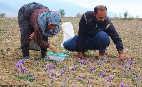 عکس روستای وامنان