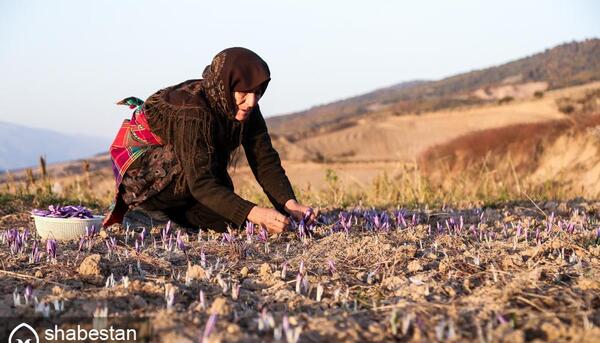 عکس روستای وامنان