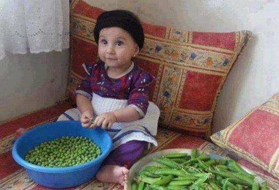 عکس های طنز افغانی