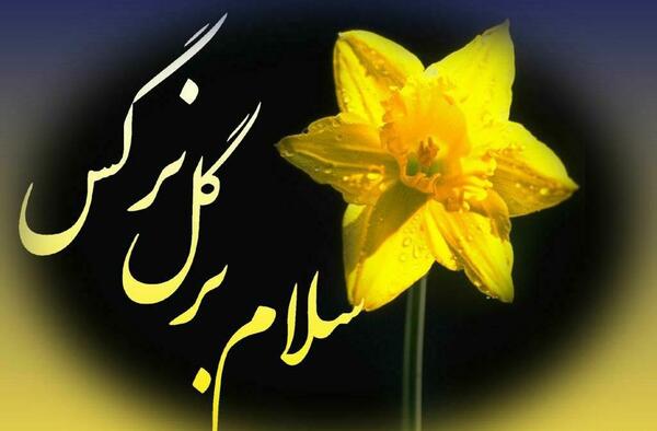 عکس سلام گل نرگس