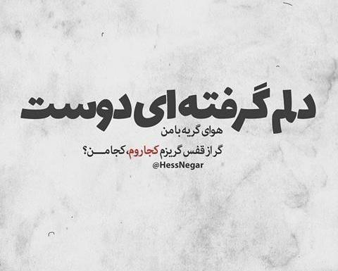 عکس چه کنم با غم خویش