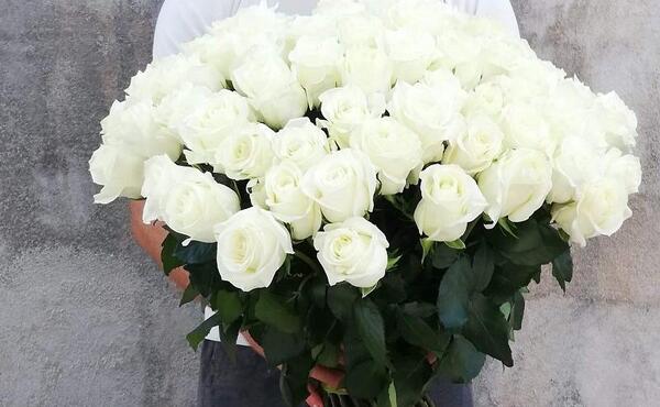عکس گل سفید برای پروفایل