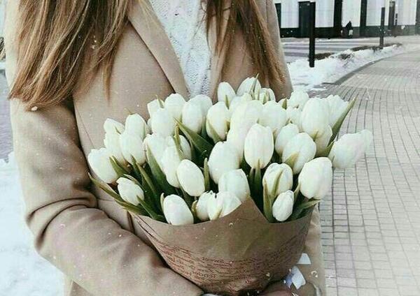 عکس گل سفید برای پروفایل
