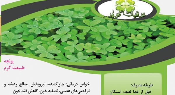 عکس گیاه دارویی یونجه