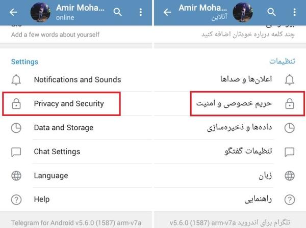 عکس پی وی شاد