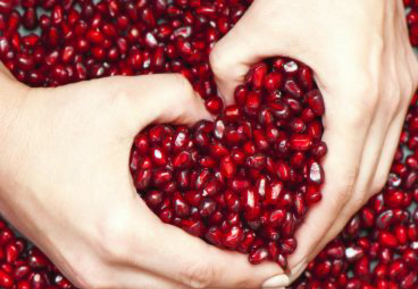 عکس شب یلدا بدون متن