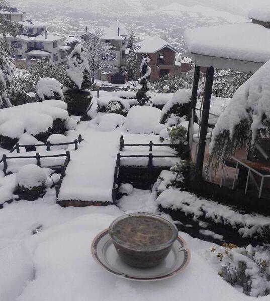 عکس اش رشته تو برف