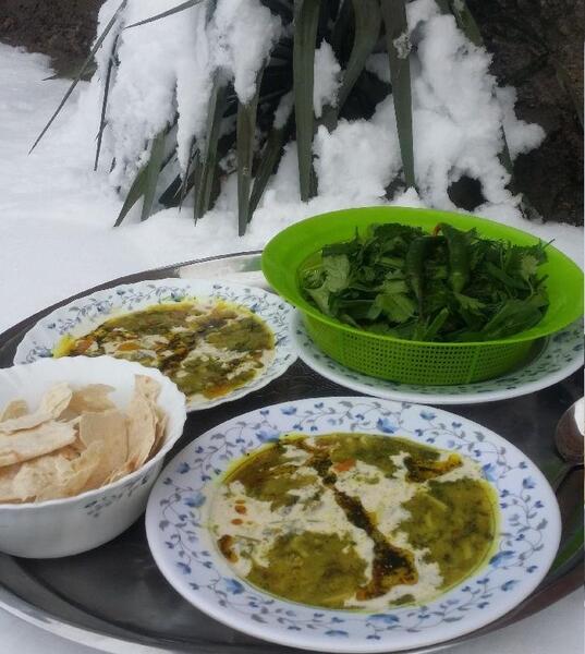 عکس اش رشته تو برف
