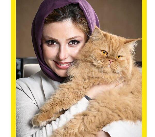 عکس گربه نیوشا ضیغمی