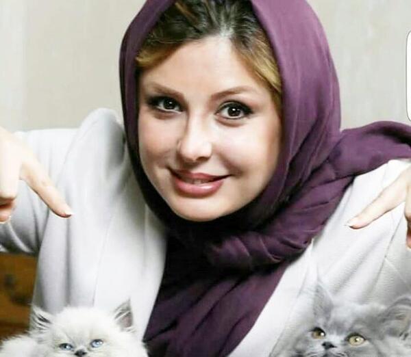 عکس گربه نیوشا ضیغمی