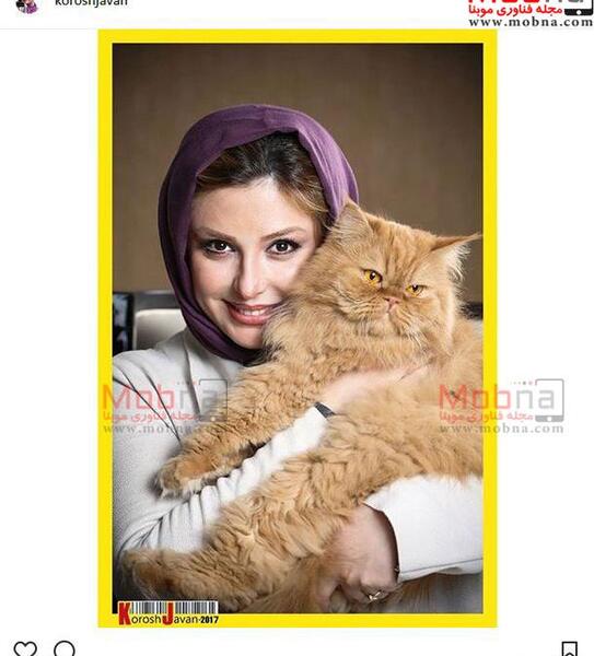 عکس گربه نیوشا ضیغمی