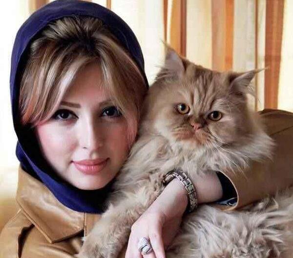 عکس گربه نیوشا ضیغمی
