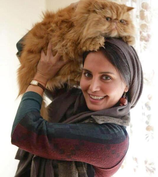 عکس گربه نیوشا ضیغمی