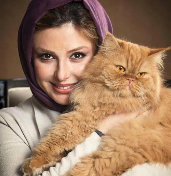 عکس گربه نیوشا ضیغمی