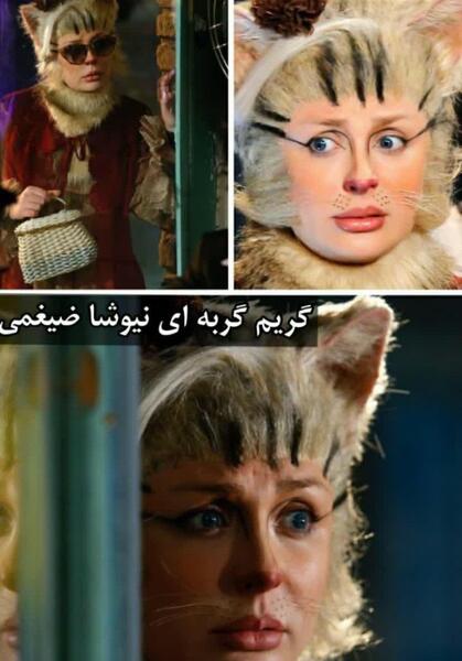عکس گربه نیوشا ضیغمی