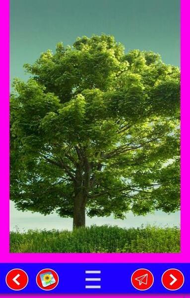 عکس زمینه گوشی سامسونگ جدید