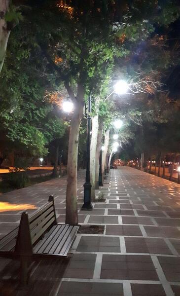 عکس شب در پارک