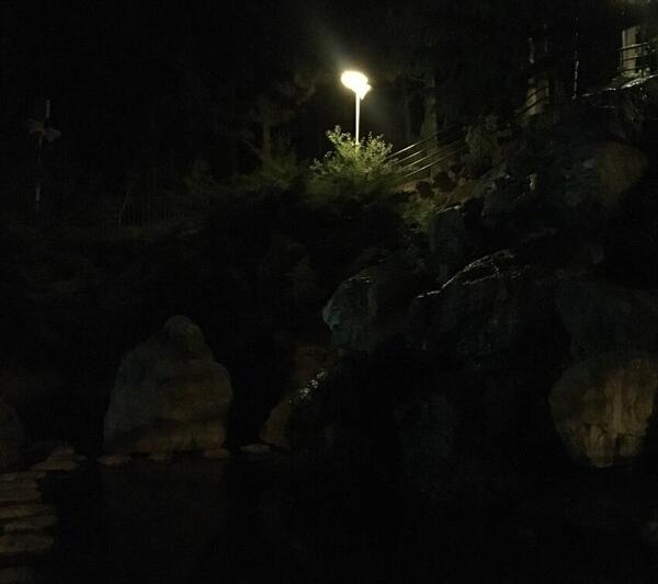 عکس شب در پارک