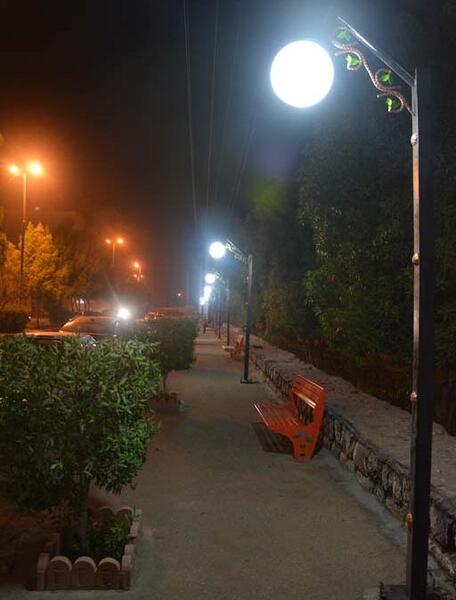 عکس شب در پارک