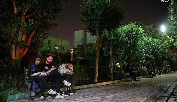 عکس شب در پارک