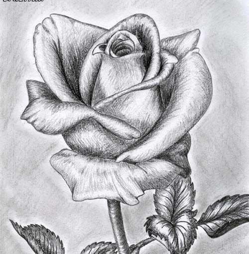 عکس نقاشی زیبا و ساده