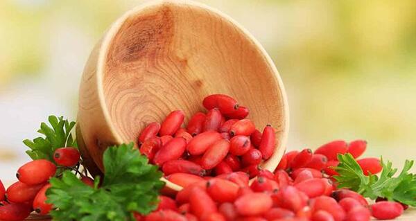 عکس زرشک آبگیری