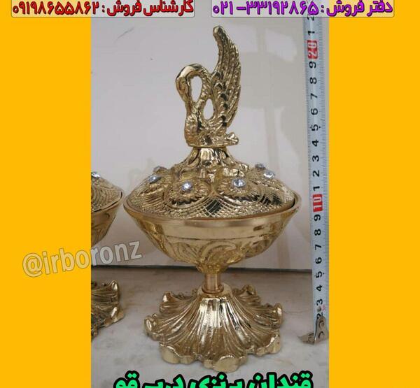 عکس قو برنزی