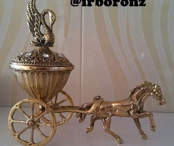 عکس قو برنزی
