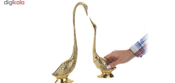 عکس قو برنزی